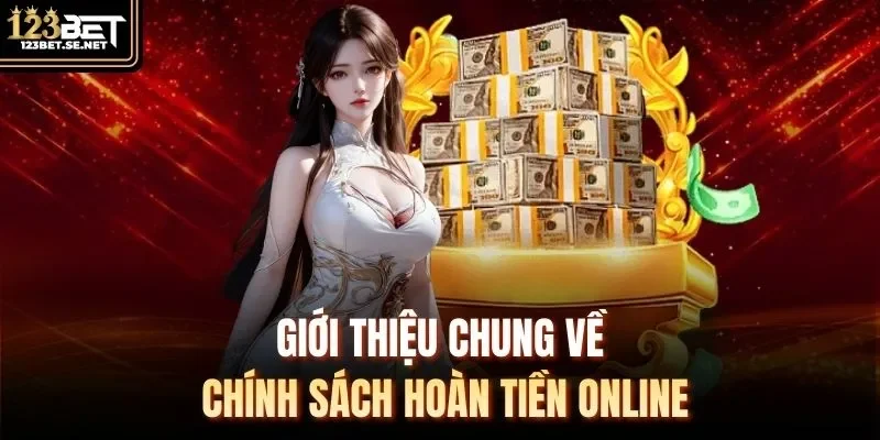 Giới thiệu chung về chính sách hoàn tiền online