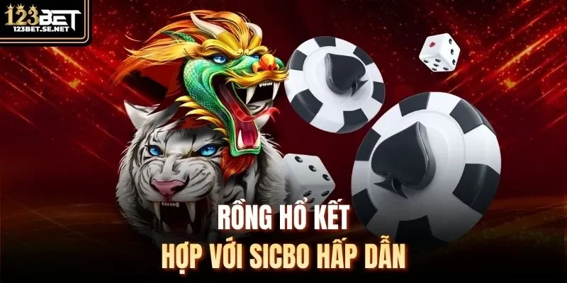 Rồng hổ kết hợp với Sicbo hấp dẫn
